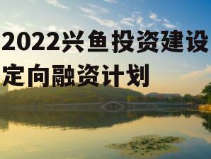 2022兴鱼投资建设定向融资计划