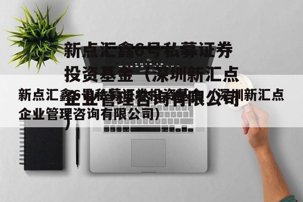 新点汇鑫6号私募证券投资基金（深圳新汇点企业管理咨询有限公司）