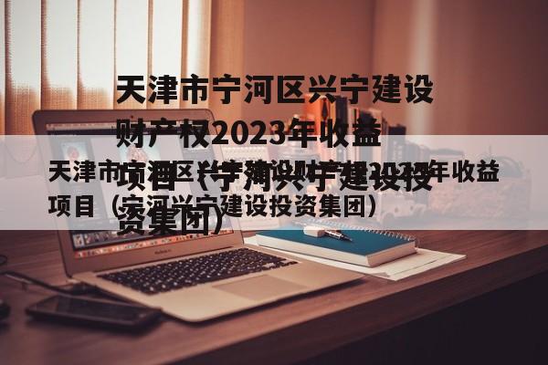 天津市宁河区兴宁建设财产权2023年收益项目（宁河兴宁建设投资集团）