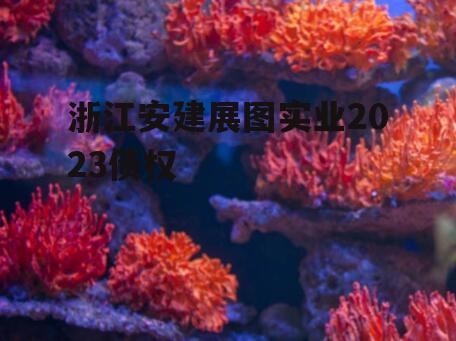 浙江安建展图实业2023债权