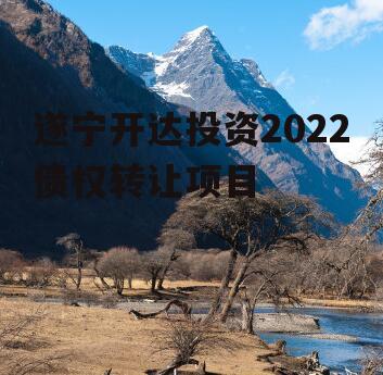 遂宁开达投资2022债权转让项目