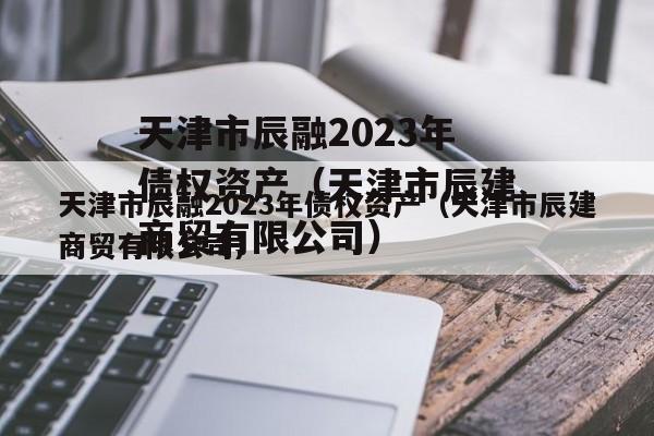 天津市辰融2023年债权资产（天津市辰建商贸有限公司）