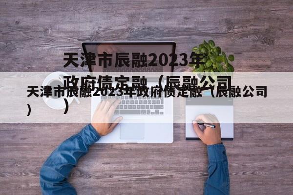 天津市辰融2023年政府债定融（辰融公司）