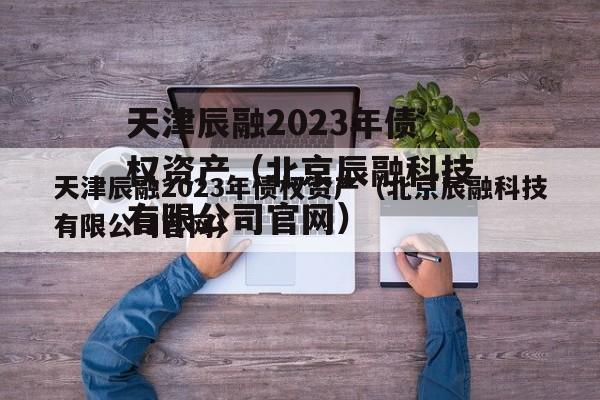 天津辰融2023年债权资产（北京辰融科技有限公司官网）