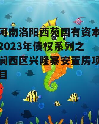 河南洛阳西苑国有资本2023年债权系列之涧西区兴隆寨安置房项目