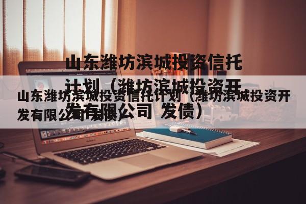 山东潍坊滨城投资信托计划（潍坊滨城投资开发有限公司 发债）