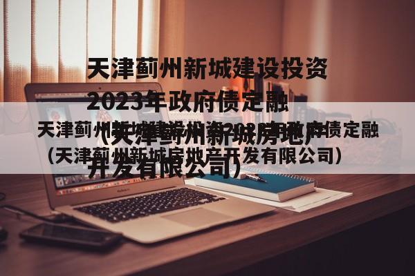 天津蓟州新城建设投资2023年政府债定融（天津蓟州新城房地产开发有限公司）