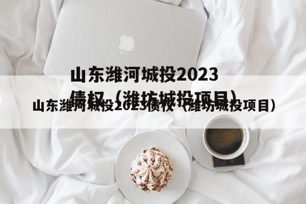 山东潍河城投2023债权（潍坊城投项目）