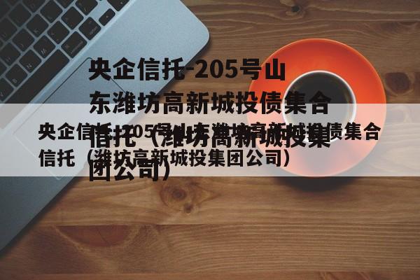 央企信托-205号山东潍坊高新城投债集合信托（潍坊高新城投集团公司）