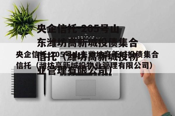 央企信托-205号山东潍坊高新城投债集合信托（潍坊高新城投物业管理有限公司）