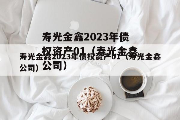 寿光金鑫2023年债权资产01（寿光金鑫公司）