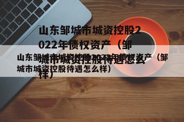 山东邹城市城资控股2022年债权资产（邹城市城资控股待遇怎么样）