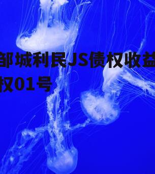 邹城利民JS债权收益权01号