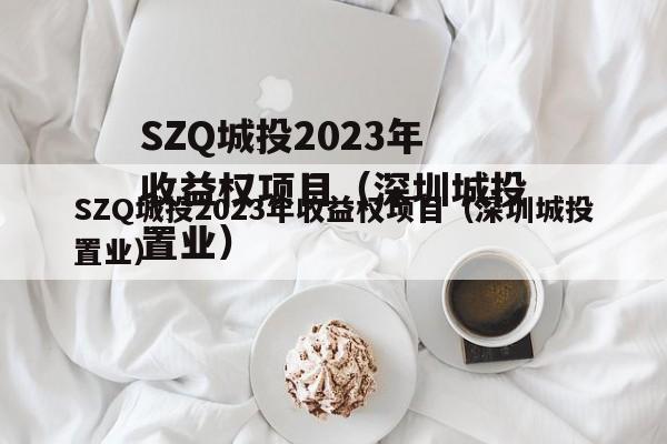 SZQ城投2023年收益权项目（深圳城投置业）