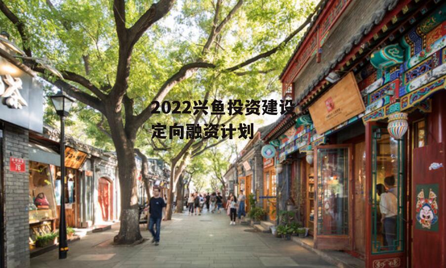 2022兴鱼投资建设定向融资计划