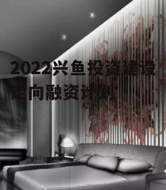 2022兴鱼投资建设定向融资计划