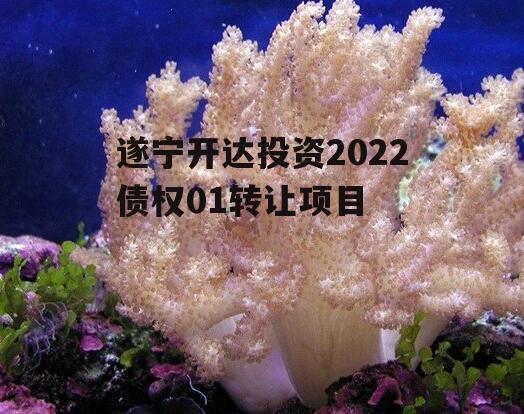 遂宁开达投资2022债权01转让项目