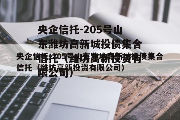 央企信托-205号山东潍坊高新城投债集合信托（潍坊高新投资有限公司）