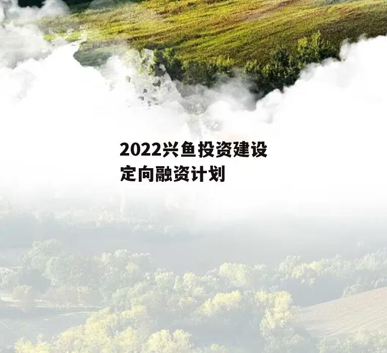 2022兴鱼投资建设定向融资计划