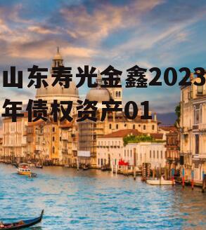 山东寿光金鑫2023年债权资产01