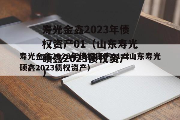 寿光金鑫2023年债权资产01（山东寿光硕鑫2023债权资产）