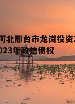 河北邢台市龙岗投资2023年政信债权