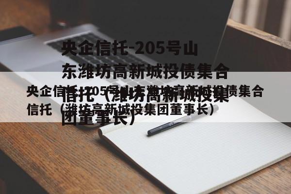 央企信托-205号山东潍坊高新城投债集合信托（潍坊高新城投集团董事长）