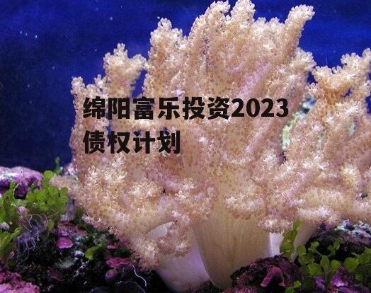 绵阳富乐投资2023债权计划