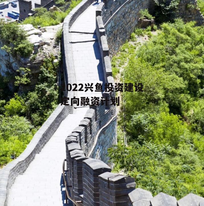 2022兴鱼投资建设定向融资计划