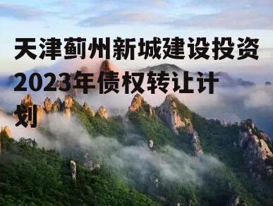 天津蓟州新城建设投资2023年债权转让计划