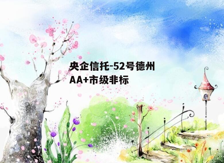 央企信托-52号德州AA+市级非标