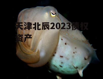 天津北辰2023债权资产