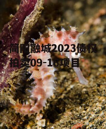 简阳融城2023债权拍卖09-16项目