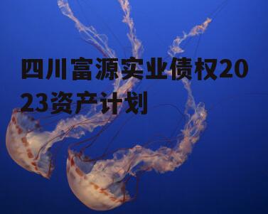 四川富源实业债权2023资产计划