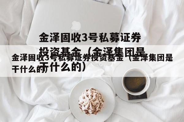 金泽固收3号私募证券投资基金（金泽集团是干什么的）