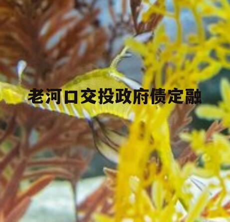 老河口交投政府债定融