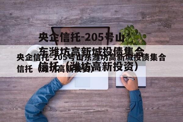 央企信托-205号山东潍坊高新城投债集合信托（潍坊高新投资）