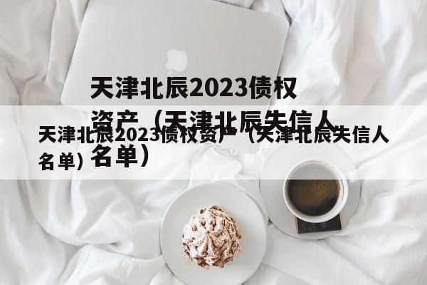 天津北辰2023债权资产（天津北辰失信人名单）