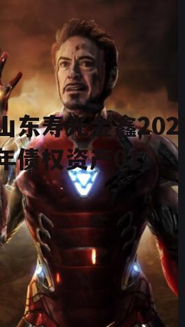 山东寿光金鑫2023年债权资产01