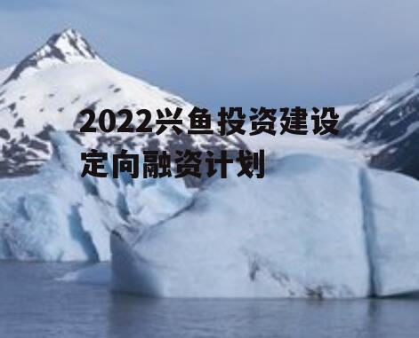 2022兴鱼投资建设定向融资计划