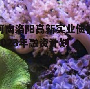 河南洛阳高新实业债权2023年融资计划