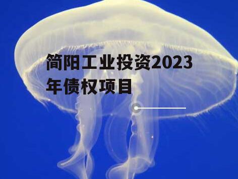 简阳工业投资2023年债权项目