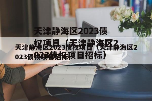 天津静海区2023债权项目（天津静海区2023债权项目招标）