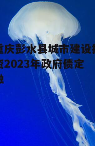 重庆彭水县城市建设投资2023年政府债定融