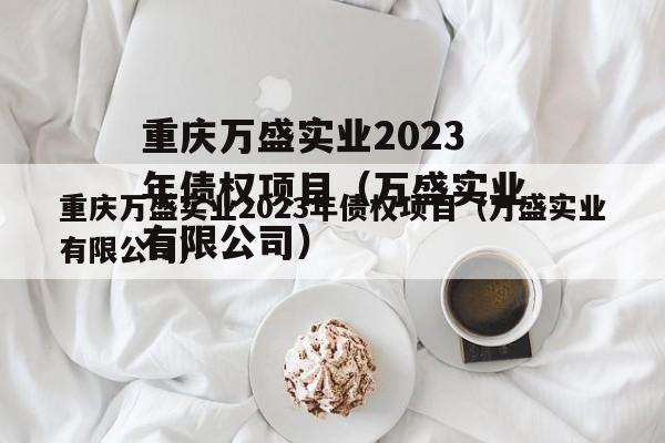 重庆万盛实业2023年债权项目（万盛实业有限公司）