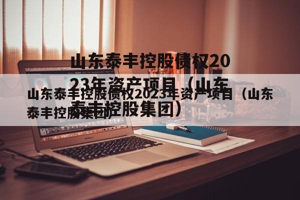 山东泰丰控股债权2023年资产项目（山东泰丰控股集团）