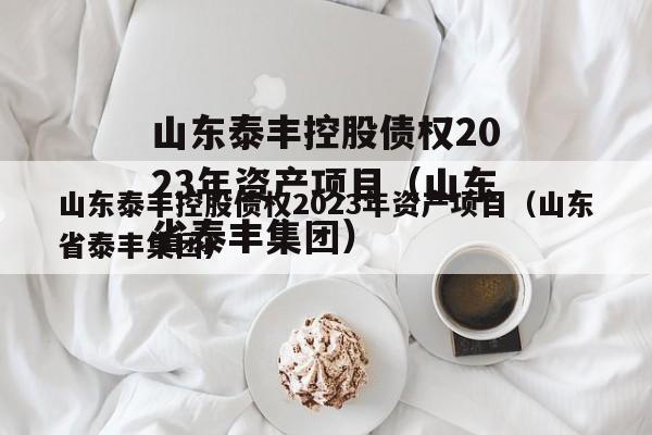 山东泰丰控股债权2023年资产项目（山东省泰丰集团）