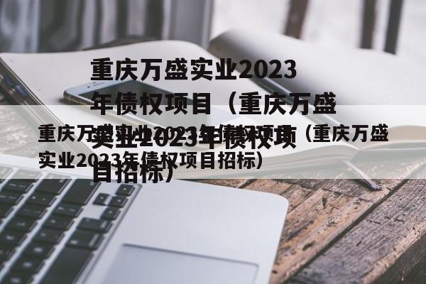 重庆万盛实业2023年债权项目（重庆万盛实业2023年债权项目招标）