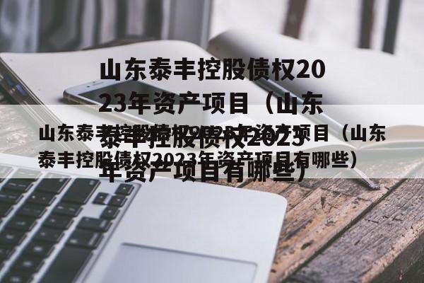 山东泰丰控股债权2023年资产项目（山东泰丰控股债权2023年资产项目有哪些）