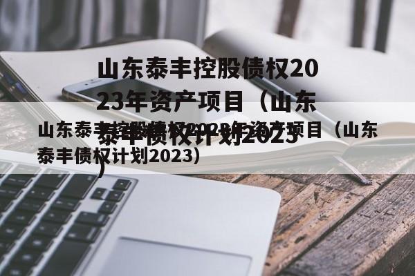 山东泰丰控股债权2023年资产项目（山东泰丰债权计划2023）